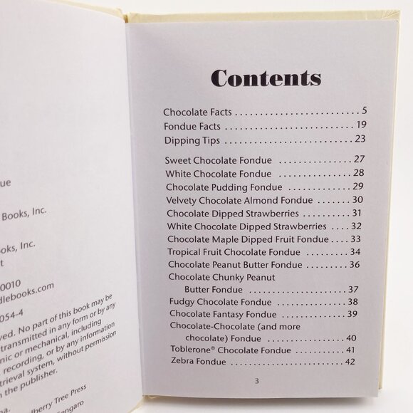 VINTAGE Chocolate Fondue Recipes and Secrets cookbook Y2K 2000s dessert recipes - Picture 6 of 16